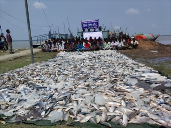 * বিসিজি স্টেশন হাতিয়া( কোষ্টগার্ড) ও মৎস্য অফিস  কর্তৃক যৌথ অভিযানে ৬১৫ কেজি ইলিশ জব্দ। 