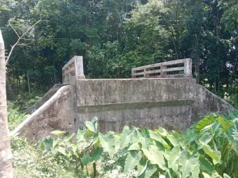 নেই খাল বা রাস্তা তবুও আছে শুধু ব্রিজ।পাচ বছরেও কাজ আদায়ে ব্যর্থ এলজিইডি।