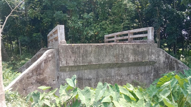 খাল নেই, রাস্তা নেই—পরিত্যক্ত অবস্থায় কোটি টাকার সেতু