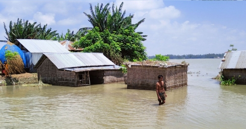 নদ-নদীর পানি বৃদ্ধি পাওয়ায়- কুড়িগ্রামে বন্যা,তলিয়ে গেছে ফসলি জমি 