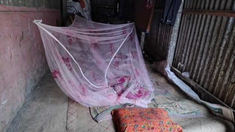 সাপের কামরে মৃত্যু 