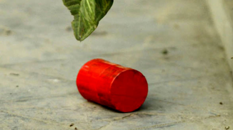 রাজধানীতে ককটেল বিস্ফোরণে আহত - ৫