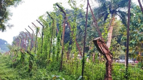 ব্রাহ্মণবাড়িয়া সীমান্তে বিএসএফের ‘গু লি তে আ হ ত’ ২ বাংলাদেশি যুবক