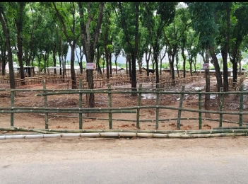 চৌগাছার ঐতিহ্যবাহি পৌর পশুহাট 