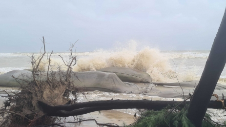 উপকূলীয় এলাকায় ৪ ফুটের বেশি জলোচ্ছ্বাসের শঙ্কা