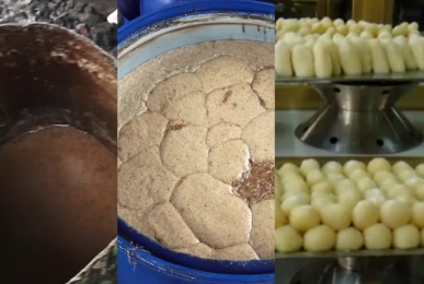 গো-খাদ্য চিটা গুড় সহ অন্যান্য ক্ষতিকর উপকরণ মিশিয়ে ভেজাল গুড়ের কারখানা।