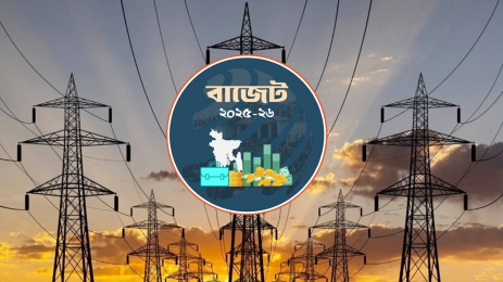 বিদ্যুৎ খাতে ‘৯ হাজার কোটি টাকার’ বেশি বরাদ্দ কমলো