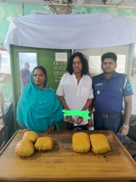 সিংগাইরে সাড়ে তিন কেজি গাঁ-জাসহ স্বামী-স্ত্রী গ্রেপ্তার।
