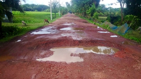 লাখো মানুষের চলাচল হুমকিতে, আমতলী-তালতলী সড়ক এখন মৃত্যুফাঁদ