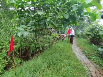 বরগুনায় সাংবাদিকের দখল করা সংরক্ষিত বন উদ্ধার