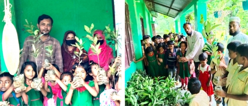 আমতলীতে ১০০ শিক্ষার্থীর মধ্যে গাছের চারা বিতরণ