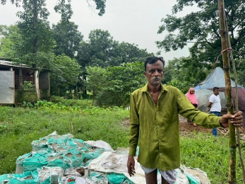 পূবাইলে পূর্ব শত্রুতার জেরে গাছের সাথে এ কেমন শত্রুতা