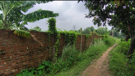 পূবাইলে পৈতৃক জমি দখল চেষ্টার অভিযোগ 