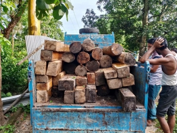 চট্টগ্রাম  মিরসরাইয়ে যৌথ অভিযানে ৩ লাখ টাকার অবৈধ কাঠ জব্দ, নিয়মিত পাচারে ক্ষুব্ধ এলাকাবাসী।
