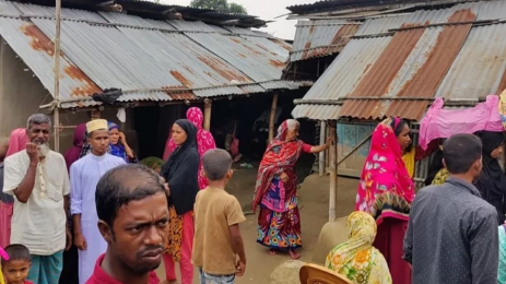 ঠাকুরগাঁওয়ে অ্যান্টিভেনম সংকট: দুই সপ্তাহে ঝরল ৫ প্রাণ।