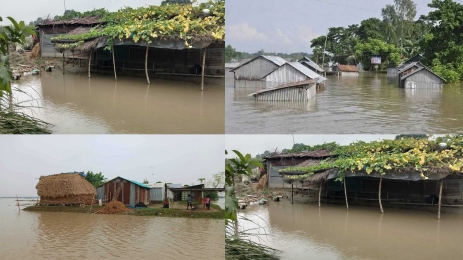  ফারাক্কার ১০৯টি গেইট খুলে দেয়ায়, চাঁপাইনবাবগঞ্জের নিম্নাঞ্চল প্লাবিত 