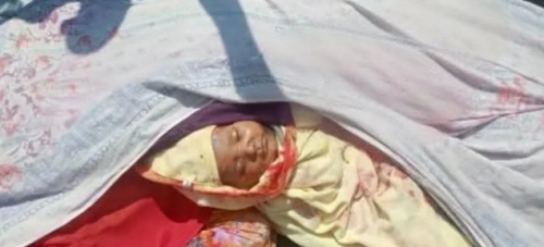 বিরামপুরে সড়ক দুর্ঘটনায় মা ও দুই মাস বয়সী শিশুর মৃত্যু