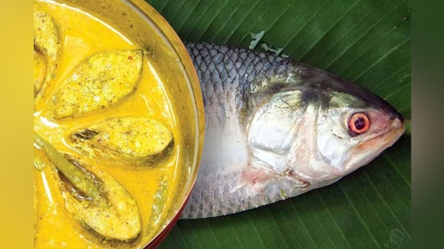 ইলিশ মাছ খেলে কোন কোন রোগের ঝুঁকি কমে?