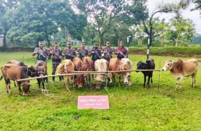 গারো পাহাড়ি সীমান্তে ১৪ লাখ টাকার ভারতীয় মালামাল জব্দ করেছে বিজিবি 