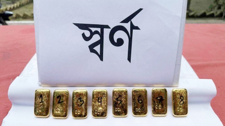 সীমান্তে দুই বাইক আরোহীর কোমরে ৮ স্বর্ণবার উদ্ধার