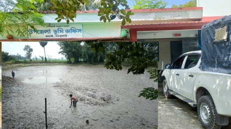 কালাইয়ে খাস পুকুর থেকে অবৈধভাবে মাছ উত্তোলন    রাজনৈতিক প্রভাব ও প্রশাসনের নীরবতায় চাঞ্চল্য