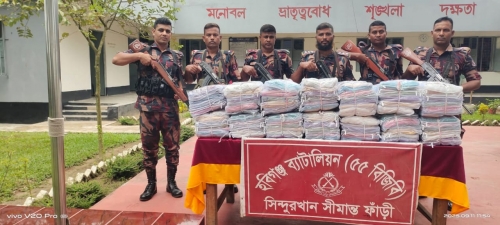 হবিগঞ্জে বিজিবির অভিজানে ভারতীয় চোরাই পণ্য জব্দ 