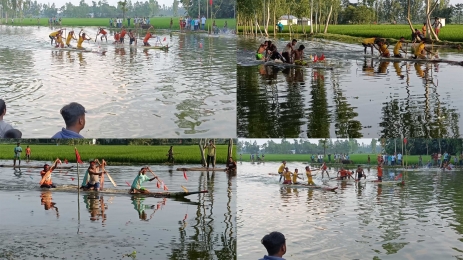 নৌকা বাইচের আদলে কলাগাছের ভেলাবাইচ প্রতিযোগিতা