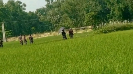 রাতের আঁধারে বিএসএফের বেড়া, অপসারণ করা হবে বলছে বিজিবি