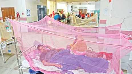 বেশির ভাগ ডেঙ্গু রোগী মারা যাচ্ছে শক সিনড্রোমে: স্বাস্থ্য অধিদপ্তর