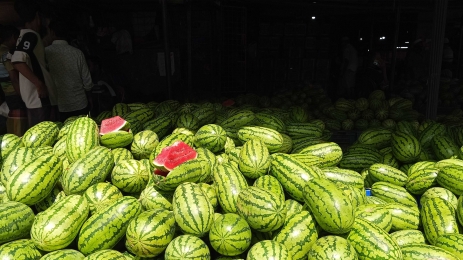 অসময়ে বাজারে এত তরমুজ কীভাবে এলো?