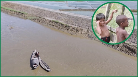 উপকূলে গর্ভপাতের হার বেশি, কারণ কী?