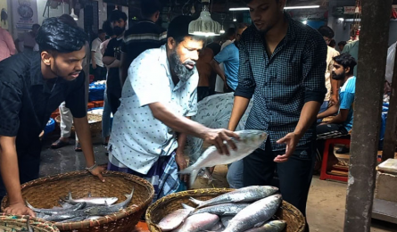 ইলিশ কেনাকাটায় ভিড়, সরবরাহ কম দাম বেশি