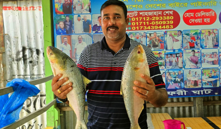 পদ্মার দুই ইলিশ বিক্রি হলো সাড়ে ১৭ হাজারে