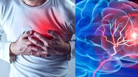 বুকের যন্ত্রণা মানেই কি হার্ট অ্যাটাক?