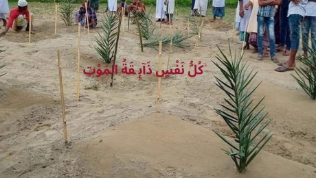 কবরে খেজুর ডাল পুঁতে দেয়া, ইসলাম কী বলে?