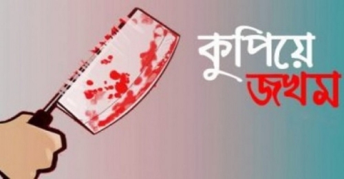 নলছিটিতে জমি নিয়ে বিরোধ,যুবলীগ নেতার হামলায় মাদরাসা শিক্ষক ও প্রবাসী আহত।