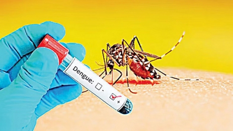 ডেঙ্গুতে আরো ৩ জনের মৃত্যু, ২৪ ঘণ্টায় হাসপাতালে ভর্তি ৭৩৫