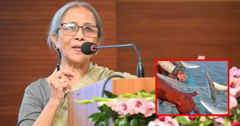  ইলিশ ধরায় ২২ দিনের জন্য সম্পূর্ণভাবে নিষিদ্ধ 