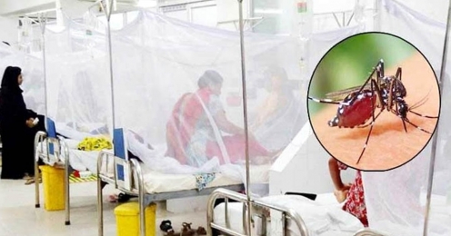 ডেঙ্গুতে একদিনে ৩ মৃত্যু, হাসপাতালে ভর্তি ৫৫৬