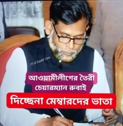 লালমাইতে মেম্বাররা ভাতা থেকে বঞ্চিত, জবাব দিতে পারেন নাই চেয়ারম্যান, দু:খজনক বললেন ইউএনও.....  পর্ব -১ 