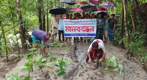 রাজাপুরে পাকা রাস্তার দাবিতে রাস্তার কাদায় কচুগাছ রোপণ করে প্রতিবাদ।