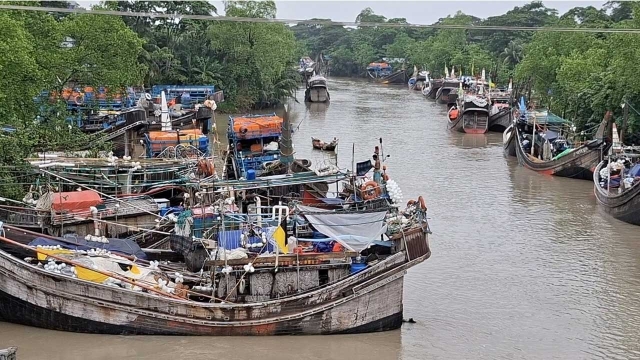 মা ইলিশ রক্ষায় শনিবার মধ্য রাত থেকে মাছ ধরায় নিষেধাজ্ঞা