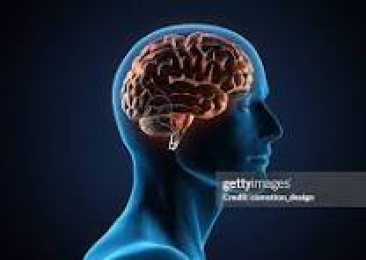 সহজে স্মৃতিশক্তি বাড়ানোর ঘরোয়া ৭ উপায়