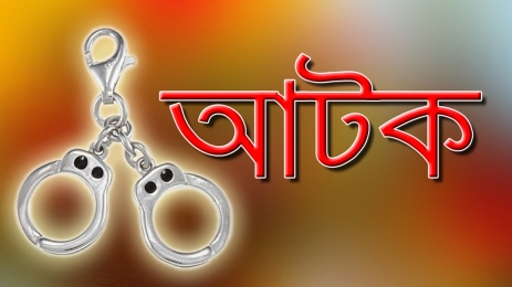 গোপালগঞ্জ থেকে ঢাকায় আসা ছাত্রলীগের ১১ নেতাকর্মী গ্রেফতার