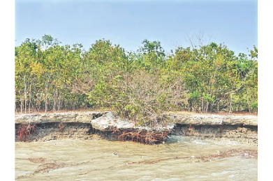 রাজনৈতিক দুর্বৃত্তায়নের কবলে উদ্বাস্তু জনপদ