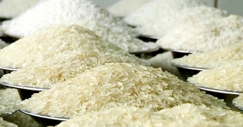 এবার কমেছে চালের দাম