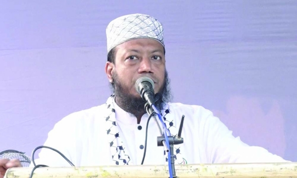 আগামী নির্বাচনে 'পিআর' পদ্ধতি নিয়ে যা বললেন - আমির হামজা  