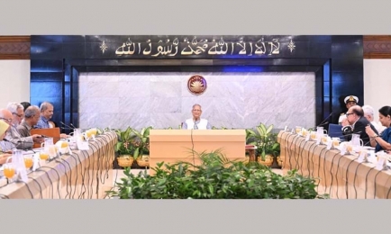 নতুন জাতীয় মানবাধিকার কমিশন অধ্যাদেশ অনুমোদন উপদেষ্টা পরিষদের  