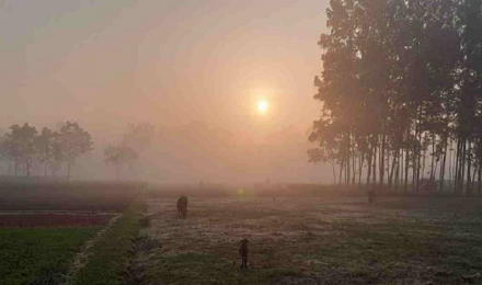  আগামী ৫ দিনে রাত এবং দিনের তাপমাত্রা আরও কমবে  