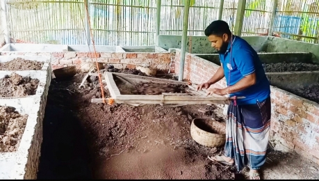 উৎকৃষ্ট মানের ভার্মি কম্পোস্ট তৈরি করে সাড়া ফেলেছেন তরুণ উদ্যোক্তা নাহিদ হাসান